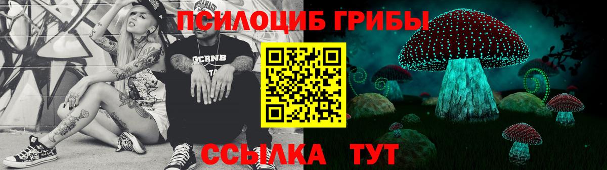 Галлюциногенные грибы Psilocybine cubensis  Вход с VPN  Егорьевск 