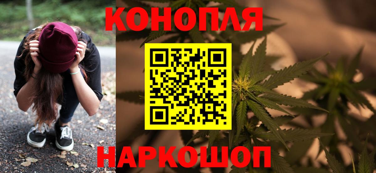 Каннабис OG Kush Егорьевск